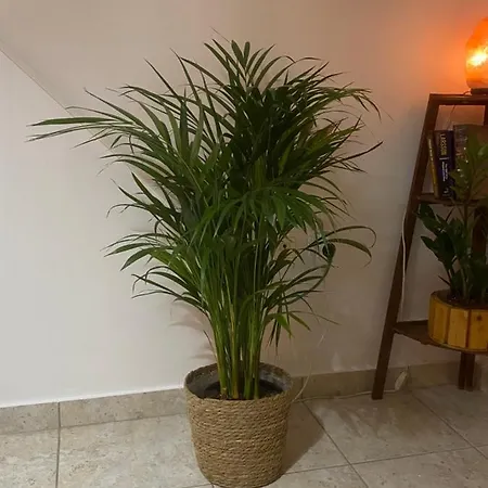 Apartamento Spitaki