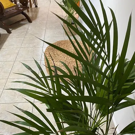 Spitaki Apartamento